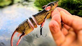 EPIC Pike Fishing with the Savage Gear 3D Rat Lure! (crazy hits!)