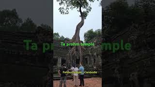 Angkor Nov Sen guide & driver.WhatsApp +(855)17331240