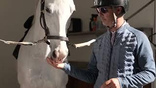 Barn Tour - Artemis Farms, Wellington