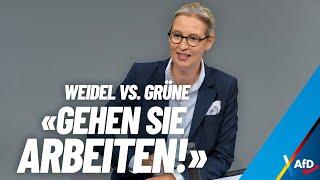 "Gehen Sie arbeiten!" - Weidel vs. Grüne - AfD