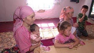 Дау-дамайсыз: 23 жылдан бері құжатсыз өмір сүріп келген кентаулықтар!
