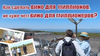 Кубань-Вино, Шато Тамань, Высокий Берег – как создаются эти и другие любимые народные марки?