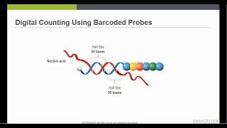 nCounter Gene Expression Analysis Overview