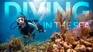 SCUBA Diving for beginners; Beginner's guide to safe diving and bubbles in the sea