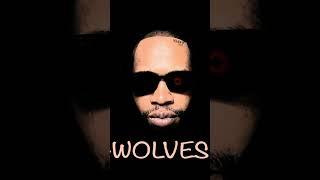 Wolves by @ModjadeepSA & Sir gaga