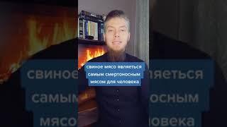 Почему нельзя есть свинину/Ислам/Мусульмане/умма/Русские мусульмане/умма Мухаммада/Мозолев Сергей