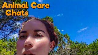 Wolf Enrichment With Maya, Sruti & Lindsay | Animal Care Chats