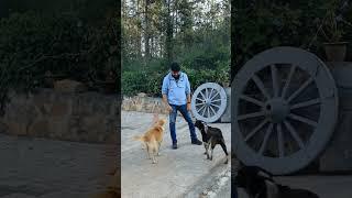 Chikmagalur Diaries-5