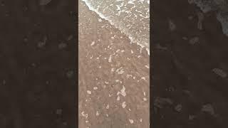 @Beach4U