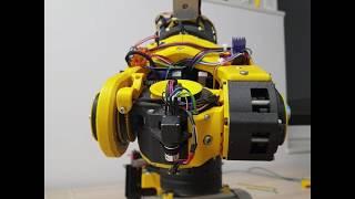 Atlas 6DOF 3D printed robot - all axis moving - artysta automatyk