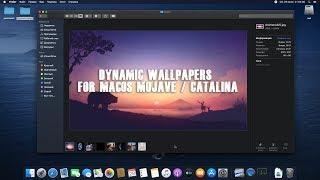 Динамические обои MacOS Mojave & Catalina / Dinamic wallpapers for MacOS & Hackintosh