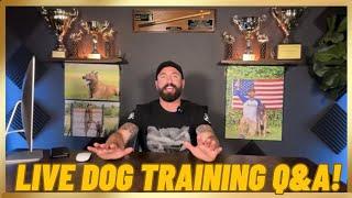 LIVE Dog Training Q&A!