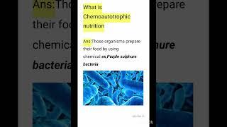 What is Chemoautotrophic nutrition class 10 bio chapter 1