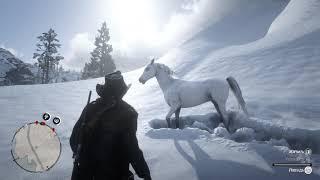 Red Dead Redemption 2 как приручить белую арабскую лошадь