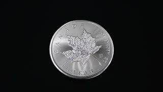 2024 Canadian 1oz Silver Maple Leaf Coin