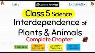 Class 5 Science Interdependence of Plants and Animals