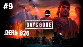 Петрушить камень больше не придётся ► 9 Прохождение Days Gone (Жизнь После)