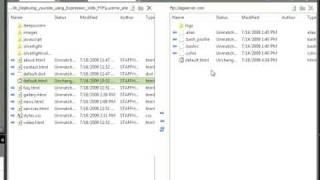 Using Expression Web 3 Publishing Features