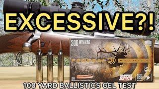 300 Winchester Magnum Barnes TSX Ballistics Gel Ammo Test