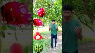 Rounding dragon fruit to Grapes, Mango, lichi & Watermelon - Fruits names magic video
