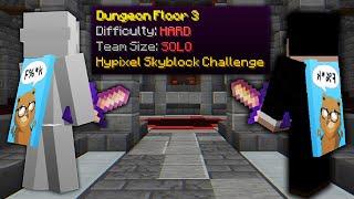 Hypixel Skyblock Speedrun, But It's Dungeons!