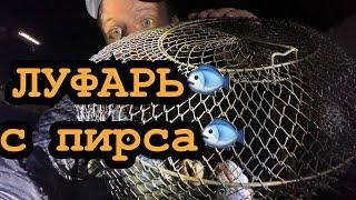 Рыбалка на ЛУФАРЯ с Пирса| bluefish fish / ПОПЛАВКИ В МОРЕ. Крым/Ялта