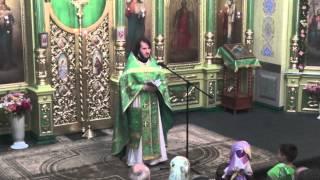 Слово иерея Вадима Гладкого 31.05.2015