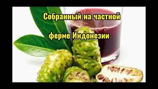 Ну, очень полезный ферментированный сок Нони!