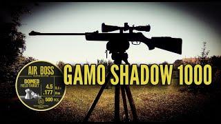 Gamo Shadow 1000 & Apolo Air Boss 25 m