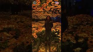 IMAGINARIUM 360: USA Fantasy Light Wonderland with Food, Fun, and Magic! Part - 12