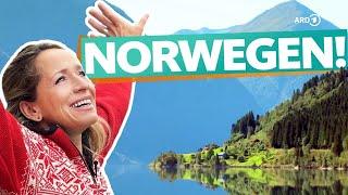 Norway - The West from Sognefjord to Bergen (4K UHD) | WDR Reisen