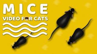 CAT GAMES - Mice. Mouse Sounds Video for Cats | CAT & DOG TV.