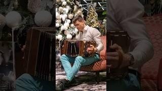 Sledging in the snow #youtubeshorts #music #bandoneon #bandovalo #winter