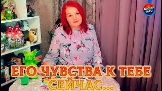 ЕГО ЧУВСТВА К ТЕБЕ ПРЯМО СЕЙЧАС!