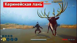 Керинейская лань в Assassin's creed: Odyssey