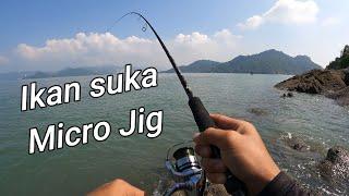 micro jigging || ikan GT dan talang || Kuying superlite Ajing