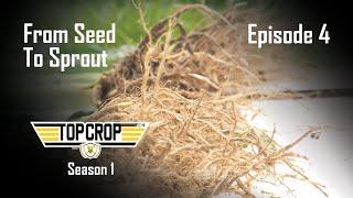 Top Crop | Episode 4