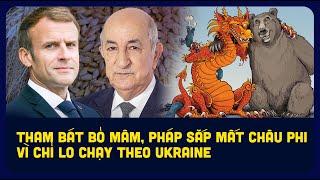 Tham bát bỏ mâm, Pháp sắp mất Châu Phi vì chỉ lo chạy theo Ukraine.