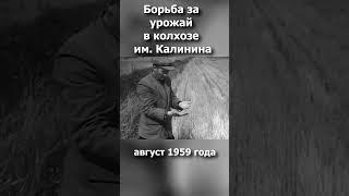 Борьба за урожай (1959) #ссср #шорты #история #ностальгия