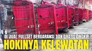 HOKINYA KELEWATAN YG BELI MURAI DI KIOS INI ! DAPAT FULLSET GRATIS ONGKIR DAN BERGARANSI