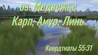 Русская рыбалка 4 | Фарм на оз. Медвежье | Рулетка для подписчиков | рр4 от ЧокопайТВ