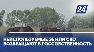 Неиспользуемые земли СКО возвращают в госсобственность