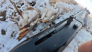 Fermada duble keklik avı. Partridge hunting,охота на куропатку, chasse à la perdrix, صيد الحجل