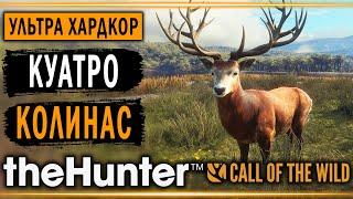 theHunter Call of the Wild #1  - Куатро Колинас (часть 1) - Хардкорная Охота