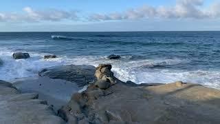 Windansea Beach  in La Jolla