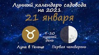 Календарь огородника на 21 января 2021 года. Лунный посевной календарь садовода | Флористикс Инфо