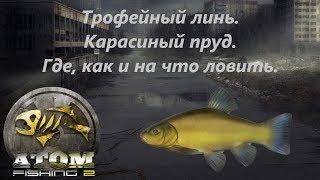 Atom Fishing II - Трофейный линь. Карасиный пруд. Где, как и на что ловить.