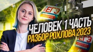 Биология ЕГЭ - Человек 1 часть. Разбор Рохлова 2023 | Напольская Ксения