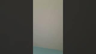 Walk on a wall