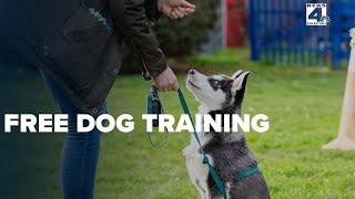 San Antonio Animal Care Services offers training for pet owners